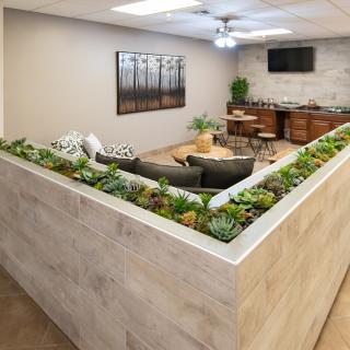 A modern office space featuring a seating area with succulents and wooden furniture.