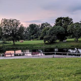 A serene view of a park at dusk, with reflections in the water and lush greenery.