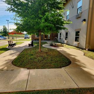 A sunny courtyard with a central tree, surrounded by a winding pathway and adjacent to a building.