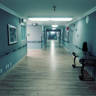 A quiet and empty hallway with blue walls and wooden flooring, illuminated by overhead lights.