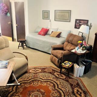 A cozy living room with a sofa, armchair, and decorative carpet.