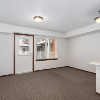 An empty apartment room with carpet flooring and multiple windows.