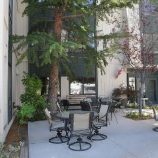 An outdoor patio area with seating, including chairs and a table, surrounded by plants and trees.