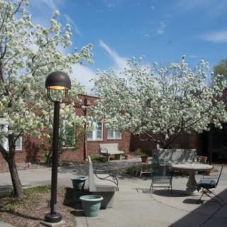A peaceful courtyard with blossoming trees and outdoor seating under a clear blue sky.