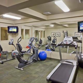 A well-equipped gym featuring various exercise machines and a vibrant atmosphere for fitness enthusiasts.