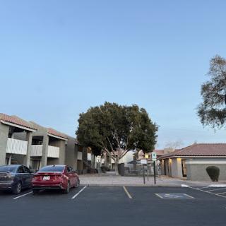 A view of an apartment complex with a parking lot and a large tree under a clear blue sky.