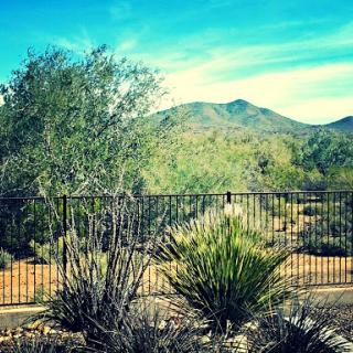 A serene view of mountains and desert vegetation under a clear blue sky.