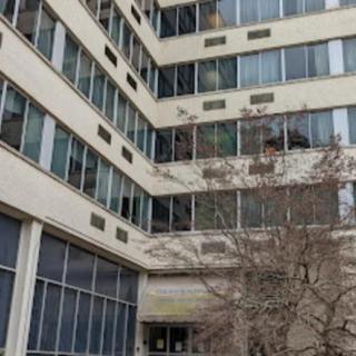 A multi-story building with large windows and a tree in the foreground.