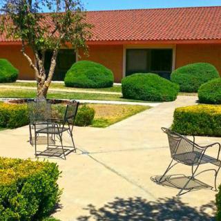 A sunny courtyard with metal chairs and well-maintained bushes.