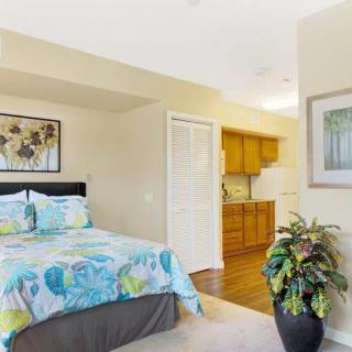 A cozy bedroom with a floral-themed bedspread, artwork on the wall, and a potted plant, leading to an open kitchenette with wooden cabinets.