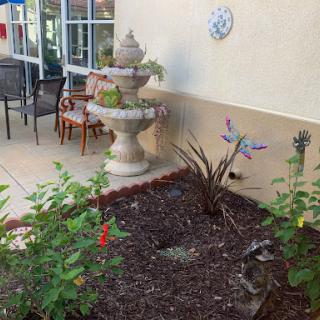 A serene garden area featuring a charming fountain and vibrant plants, perfect for relaxation.