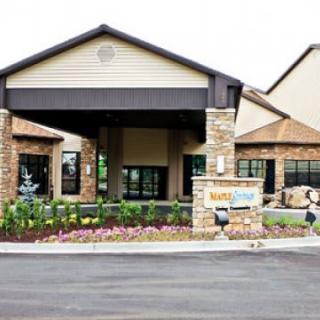 The entrance of a modern building with stone facade and landscaping.