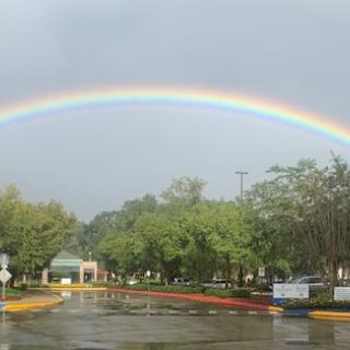 A beautiful rainbow arches over a tranquil scene after a rainfall.