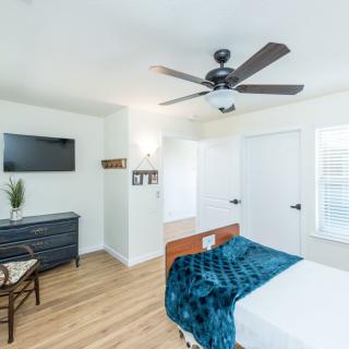 A modern bedroom with a ceiling fan, television, and stylish furnishings.