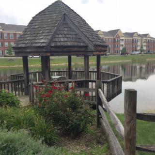 A quaint wooden gazebo by the lake, surrounded by greenery and a wooden fence, with residential buildings in the background.