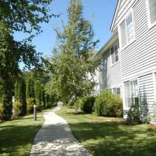 A sunny pathway alongside a residential building with lush greenery.