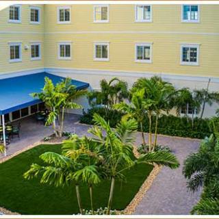 A courtyard with palm trees and greenery adjacent to a building with a blue awning.