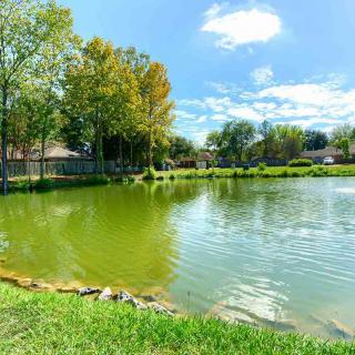 A peaceful pond surrounded by greenery and houses under a bright blue sky.