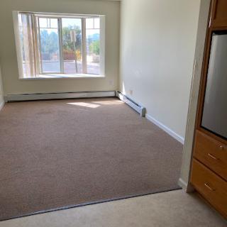 A bright and spacious empty room featuring carpet flooring and large windows.