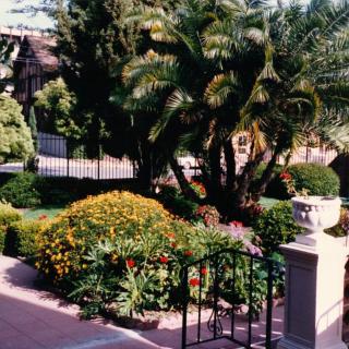A beautifully landscaped garden with a variety of plants, including a prominent palm tree and colorful flowers.