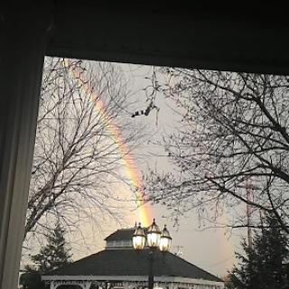 A beautiful rainbow arcs over a gazebo, framed by bare trees.
