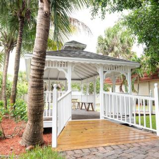 A charming white gazebo surrounded by lush greenery and palm trees, featuring a wooden deck and inviting outdoor ambiance.