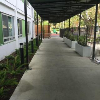 A serene walkway lined with plants, leading towards a building.