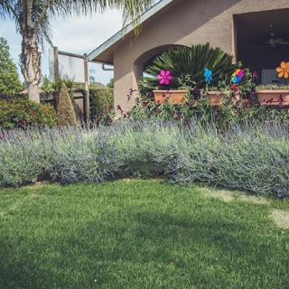 Magnolia Park Assisted Living