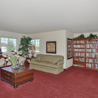 A cozy living room with a sofa, bookshelf, and indoor plants.