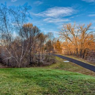 A scenic pathway winding through a vibrant autumn landscape with trees, grass, and a clear blue sky.