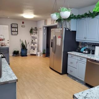 A modern kitchen with stainless steel appliances and plants decorating the space.
