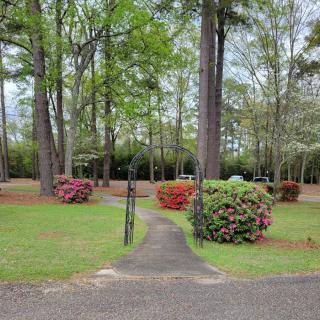 A serene garden pathway surrounded by tall trees and colorful shrubs.