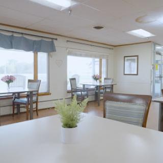 A bright and welcoming dining area with tables, chairs, and decorative plants.