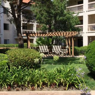 A serene garden with a wooden pergola, benches, and lush greenery in an apartment complex.