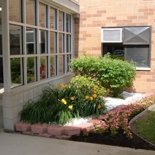 A well-maintained garden featuring colorful flowers and lush greenery beside a building.
