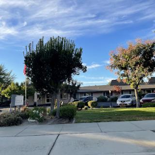 A serene view of a building surrounded by greenery and vehicles parked along a well-maintained road under a clear blue sky.
