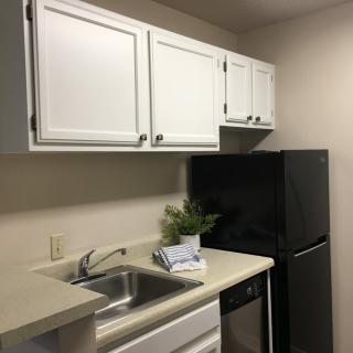 A minimalist apartment kitchen with white cabinets and a small plant on the counter.