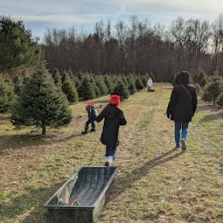 A family enjoying a day at the tree farm, searching for the perfect Christmas tree.