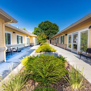 A sunny courtyard between two buildings with a pathway and plants.