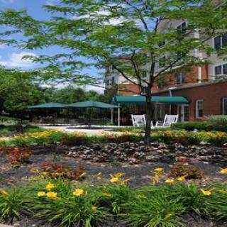 A beautifully landscaped garden with vibrant flowers, trees, and a patio area near a building.