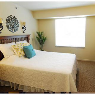 A cozy bedroom with a neatly made bed, decorative pillows, wall art, and a plant by the window.