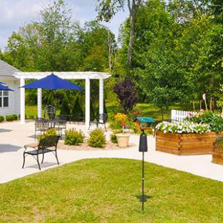 A sunny garden patio with outdoor seating under a pergola and umbrellas, surrounded by lush greenery.