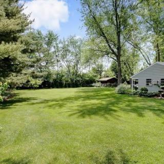 A peaceful backyard garden with lush green lawn and trees surrounding a small white house.