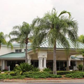 A building with palm trees in front, showcasing a tropical landscape.