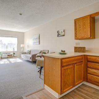 An open-concept apartment with a kitchen and cozy living area, featuring natural light and simple decor.