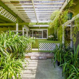 A lush garden patio with abundant greenery and a pergola overhead.