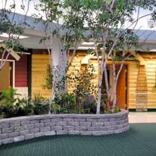 A vibrant indoor space featuring wooden accents and lush greenery, creating a calming environment.