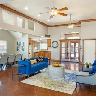 A stylish and modern living room featuring a blue sofa, wooden accents, and plenty of natural light.