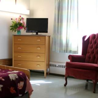 A cozy bedroom with a television on a dresser, an armchair, and a vibrant flower arrangement.