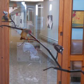 A decorative branch with birds on a glass door in an interior hallway.